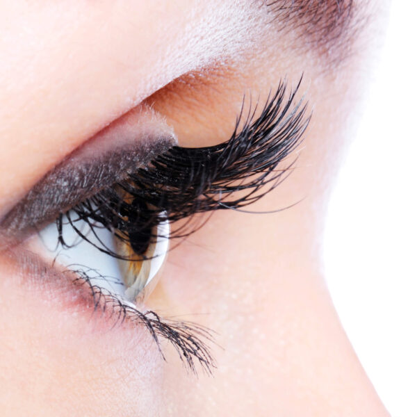 Extension ciglia